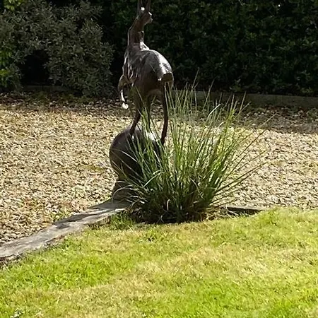 Breathnach Annexe Knockleagha F26 D7e2 * Ballina