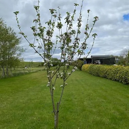 Nyaraló Breathnach Annexe Knockleagha F26 D7e2