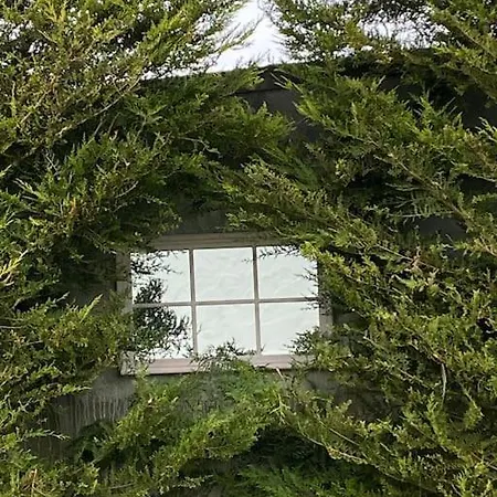 Breathnach Annexe Knockleagha F26 D7e2 Σπίτι διακοπών