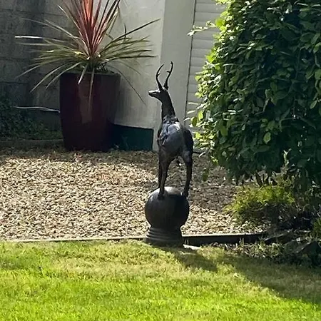 Nyaraló Breathnach Annexe Knockleagha F26 D7e2 *