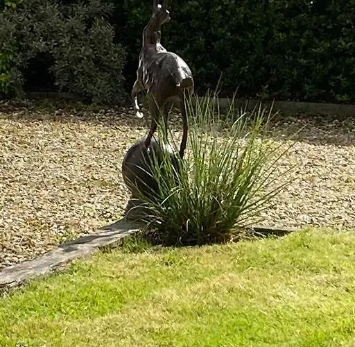 Breathnach Annexe Knockleagha F26 D7e2 * 발리나