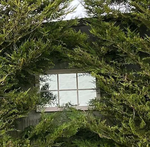 Breathnach Annexe Knockleagha F26 D7e2 펜션